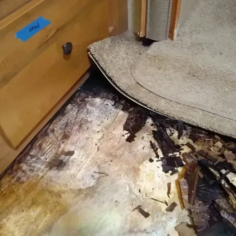 Wood Floor Water Damage in South Charleston, OH